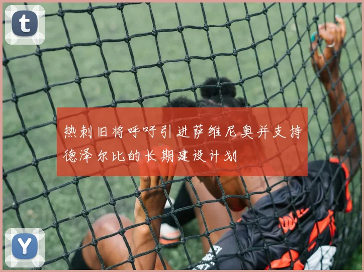 热刺旧将呼吁引进萨维尼奥并支持德泽尔比的长期建设计划