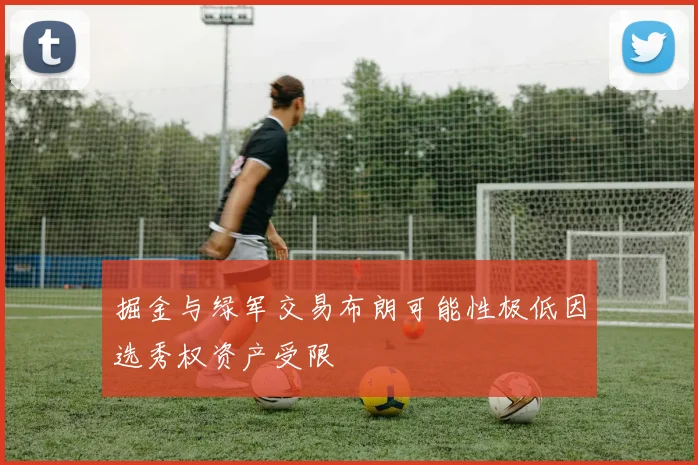 掘金与绿军交易布朗可能性极低因选秀权资产受限