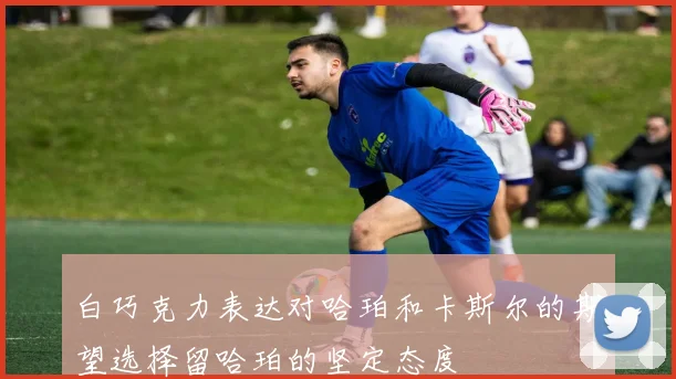 白巧克力表达对哈珀和卡斯尔的期望选择留哈珀的坚定态度