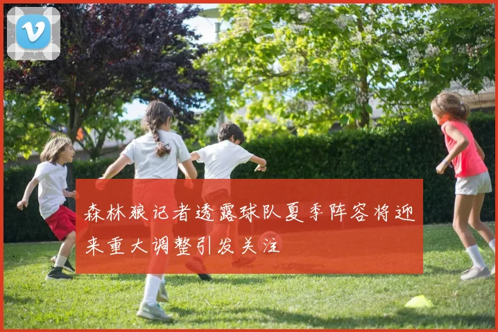 森林狼记者透露球队夏季阵容将迎来重大调整引发关注